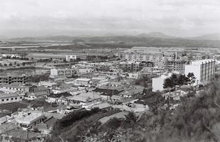 염포산에서 본 현대자동차와 주변 전경_1979