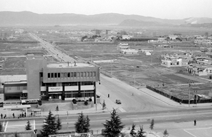 시청주변과 돋질로(1970년대)_1차