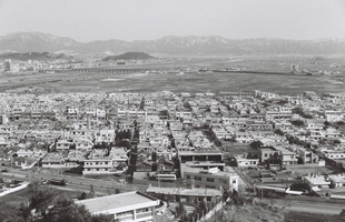 남산에서 본 시가지 전경_1980