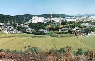 덕신리 산성마을 전경_1980