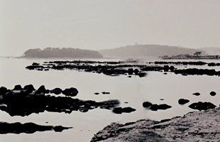 목도_1982