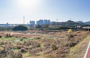 구영교에서선바위