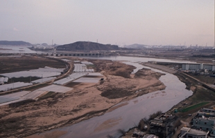 동천강과 태화강하구 주변시가지전경