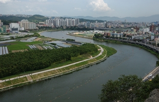 남산에서본 태화강수영대회01