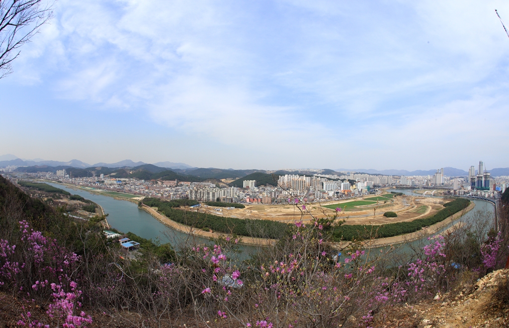 남산에서본 태화강생태공원01