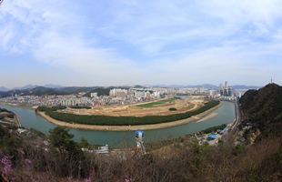 남산에서본 태화강생태공원02