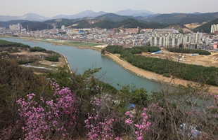 남산에서본 태화강생태공원03