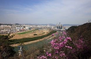 남산에서본 태화강생태공원04