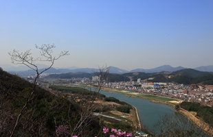 남산에서본 태화강생태공원09