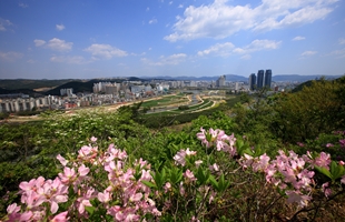 남산에서본 태화강주변시가지전경-2011. 4. 25