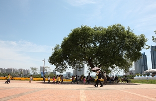 어린이드이 태화강대공원의 느티나무광장에서 휴식을 하고  있다