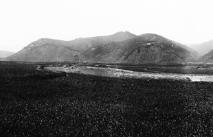 태화강변에서 본 베리끝 전경(1913년)