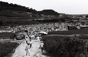 복산동 우시장_1965