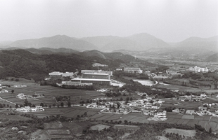 울산대학교_1985