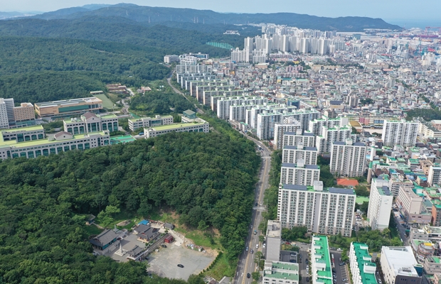 동구 시가지