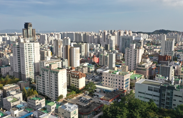 남구 신정동