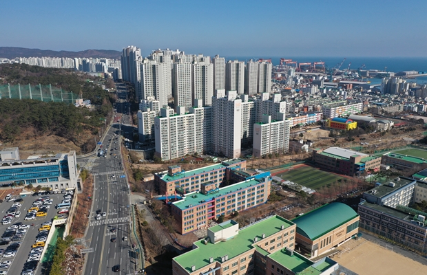 동구 전하동