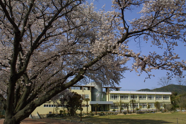울산 들꽃 학습원