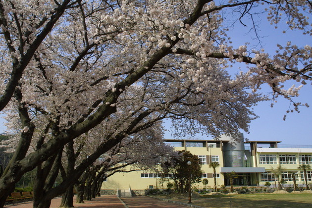 사진2