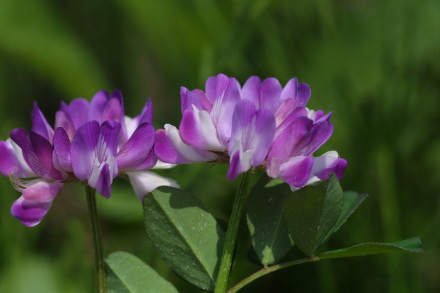 사진10