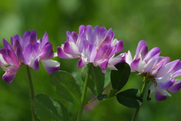 사진14