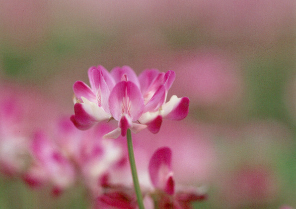 사진18