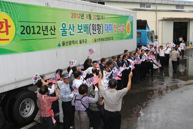 울산배 수출