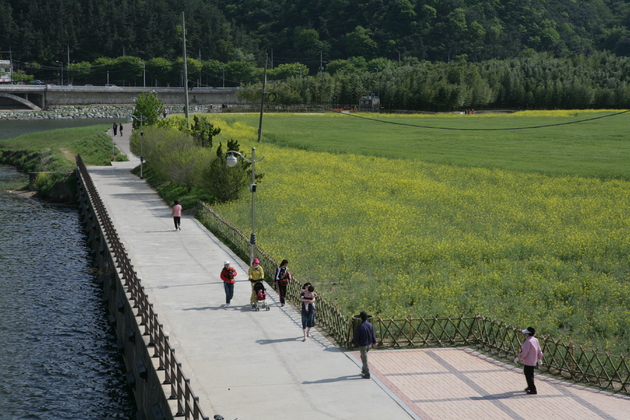 사진3