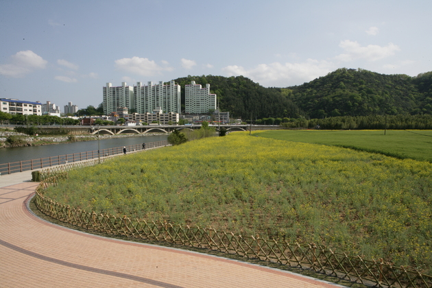 사진5