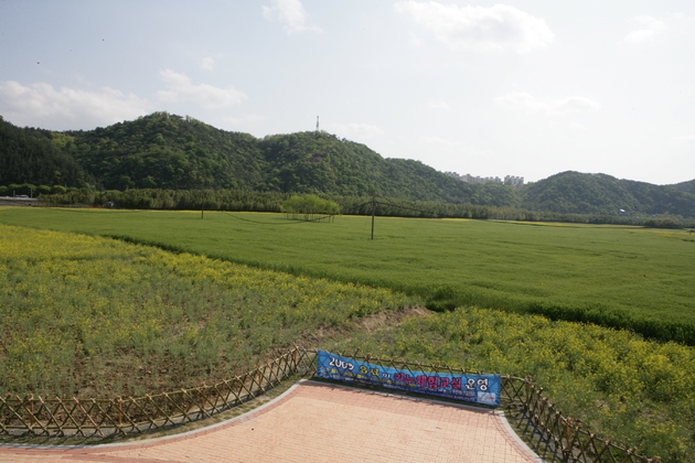 사진7