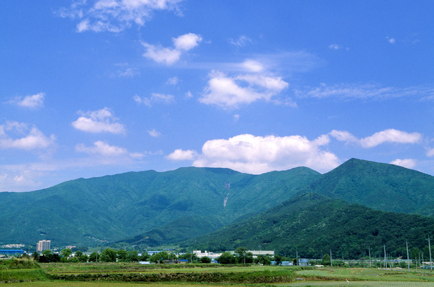 고헌산