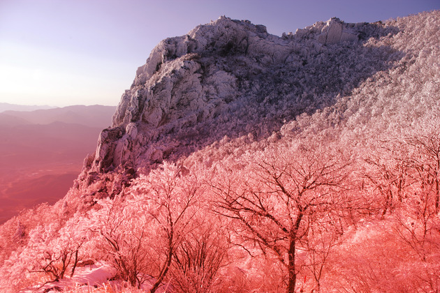 영축산의 설경
