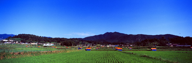 고헌산과 오리농사