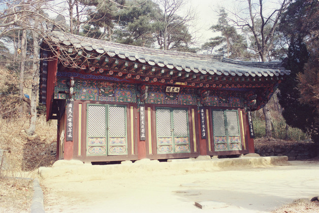 사진7