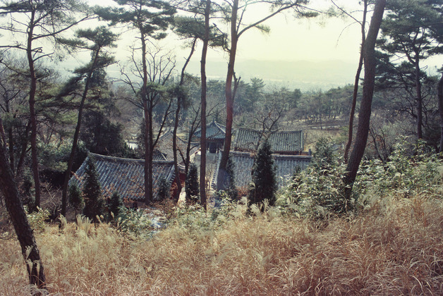 사진10