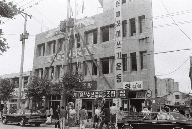 사진8