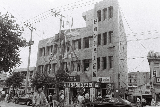 사진9