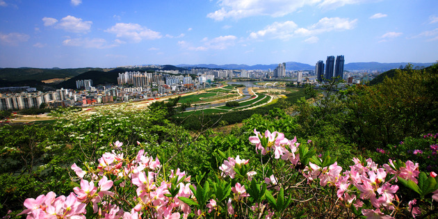 남산에서본 태화강대공원