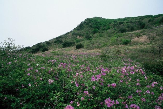 사진2