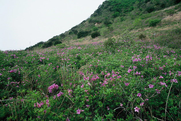 사진5