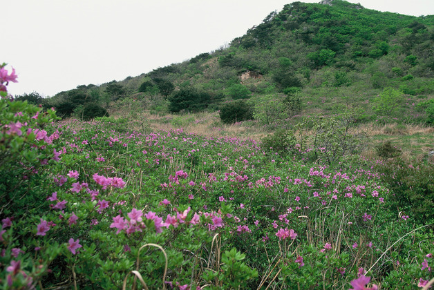 사진7