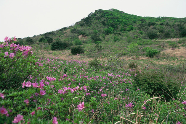 사진10