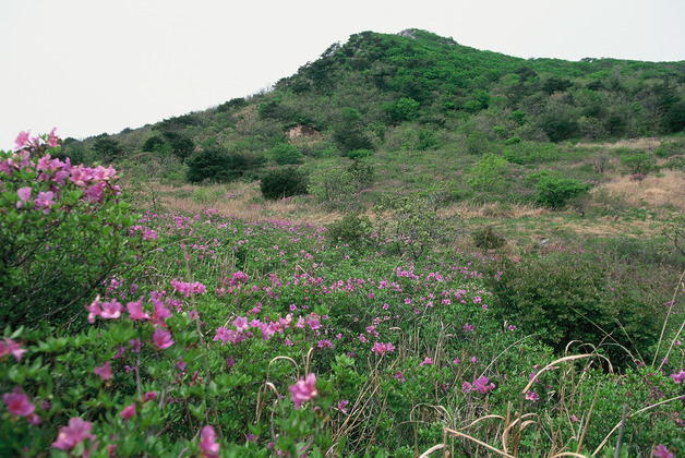 사진11