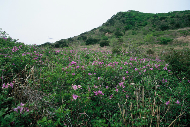 사진13