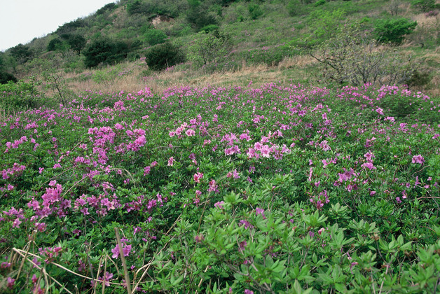 사진14