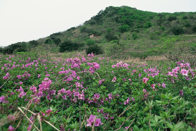 사진15