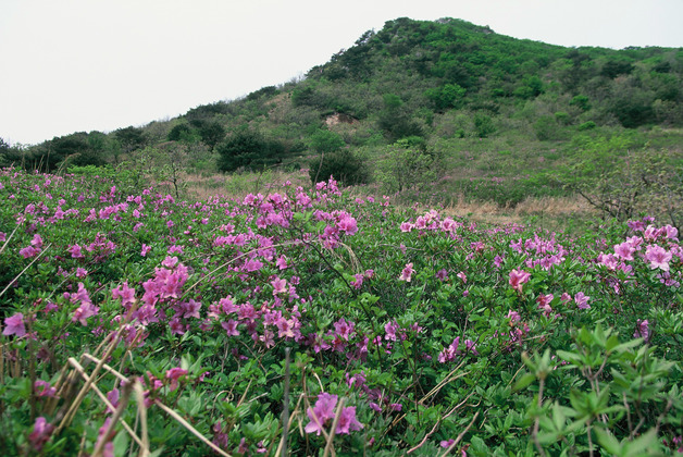 사진16