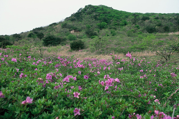 사진17