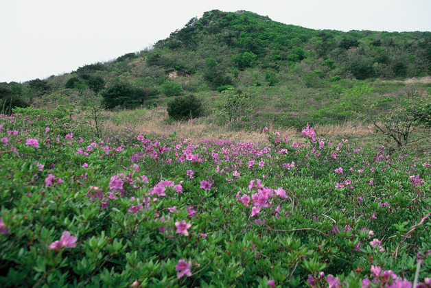 사진18