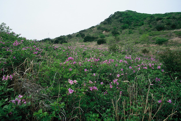 사진25